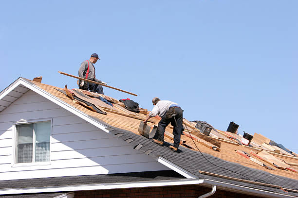 Best Green or Eco-Friendly Roofing Solutions  in Steelevle, IL