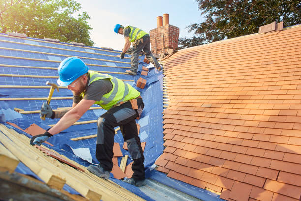 Best Sheet Metal Roofing  in Steelevle, IL